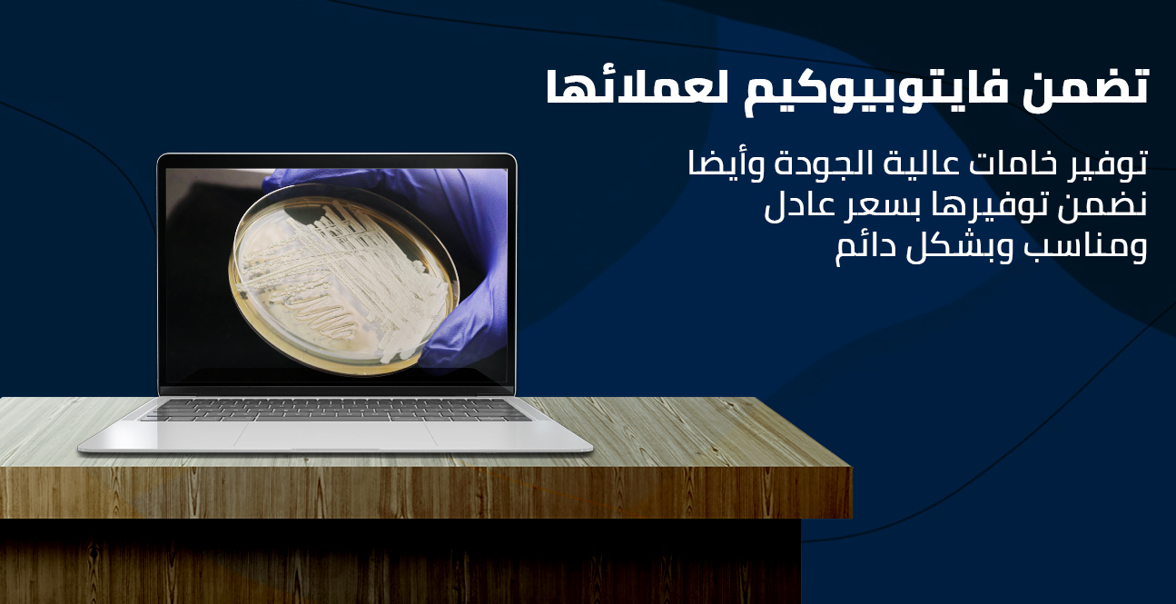 صورة الشريحة